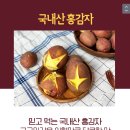 티몬10분어택🌟오늘밤10시! 카스테라 홍감자 3kg 6,320원 무료배송 이미지