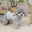 쁘띠몽몽 이미지