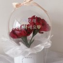디얼투유 이미지