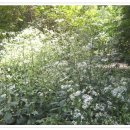 김광수 농장 이미지