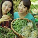 공항할인마트 이미지