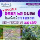 홍길동농장 이미지