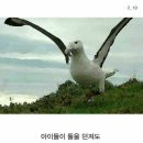 알바트로스 - 사상구 삼덕로74번길 28-2 | 알바트로스