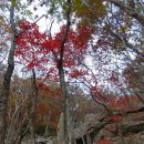 천황자동차야영장 이미지