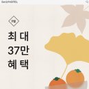 여수 데일리 호텔 이미지