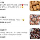 행복한 여자의 공간 | 잠실 송파 헬리오시티 두바이 천국 빠다상점 두쫀쿠 맛집