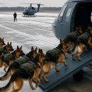 Top BEST Dog Training Techniques 이미지