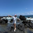 ROAD TO HANA | 하와이 신혼여행 9박10일 코스 마우이 자연 속 여정, 로드 투 하나(Road to Hana) 코스 추천 및 후기