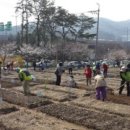 내곡동436 이미지