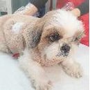 승원 동물병원 이미지