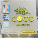 코코네일 이미지