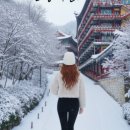 채식식단 웰빙요리 이미지