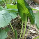 북동농원 이미지