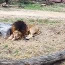 관광중국어 이미지