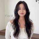 현이샌드 이미지