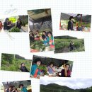 찬희농장 이미지