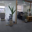 세무회계평
