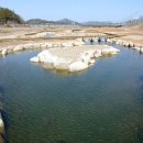 신성리생태공원 이미지