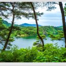 산막이옛길 선착장 이미지