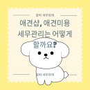 동물미용업 영업등록신청 | [기타]애견샵, 애견미용 어떻게 세무관리 할까요?