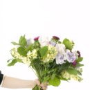 화훼장식기능사 이미지