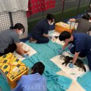 논산시 동물보호센터 이미지