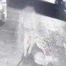 모텔승마 이미지