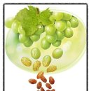 (주)에프앤비 네이처 이미지