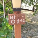 바다숲 민박 네이버블로그