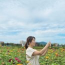 일죽 청미천 이미지