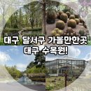 대구 달서구 가볼 만한 곳, 맑은 공기의 여유 대구수목원 솔직 후기!