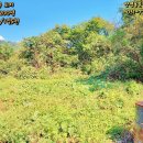 용문행복공인중개사사무소 이미지