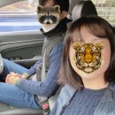 천수카센타 | [양양] 겨울 여행 (하조대/속초/낙산사)