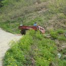 산소농장 이미지