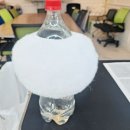 셀프 강아지 목욕탕 이미지