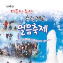 제4회 대둔산 논산 수락계곡 얼음축제 이미지