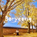 신경섭가옥 공중화장실 | 청라은행마을 실시간 신경섭 가옥 은행나무 명소 충남 가을 여행지