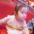 미니특공대X | 어린이뮤지컬 미니특공대X 솔직후기