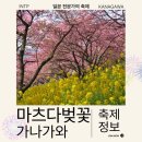 벚꽃 | 2025년 도쿄 근교 마츠다 벚꽃 축제 후기 2026년 정보