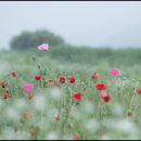 수채화를그리다