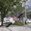 경보 센텀 이미지