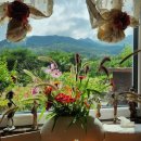 호반 정원 이미지