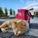 웃는얼굴아트센터수영장 이미지