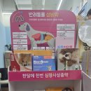 강서동물약국 이미지