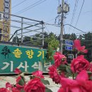 솔향기기사식당 이미지