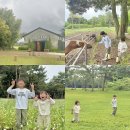 대한목장 | 아이랑 제주도 여행 코스 추천, 자연 그대로의 힐링 '대한목장' 솔직 후기
