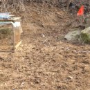 꽃보다닭 이미지