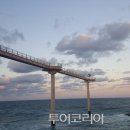 스카이 관광여행사 이미지