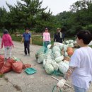 죽림해수욕장 이미지