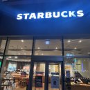 새문안로 | 스타벅스 새문안로점, 통창으로 밤 풍경을 즐기는, 쾌적하고 분위기 좋은 스타벅스